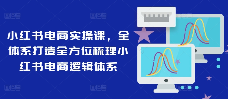 小红书电商实操课，全体系打造全方位梳理小红书电商逻辑体系-随风资源网