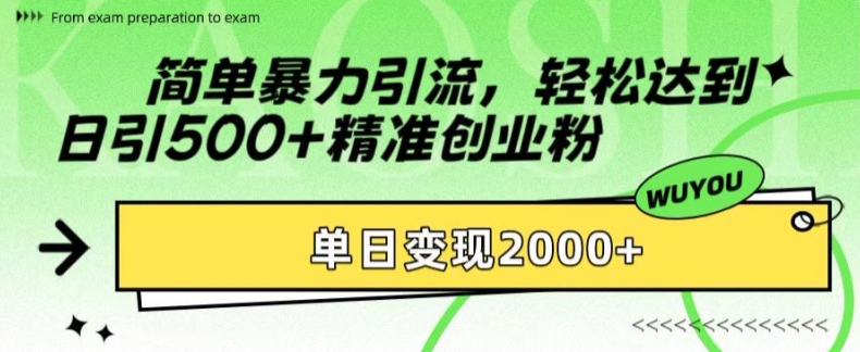 简单暴力引流，轻松达到日引500+精准创业粉，单日变现2k【揭秘】-随风资源网
