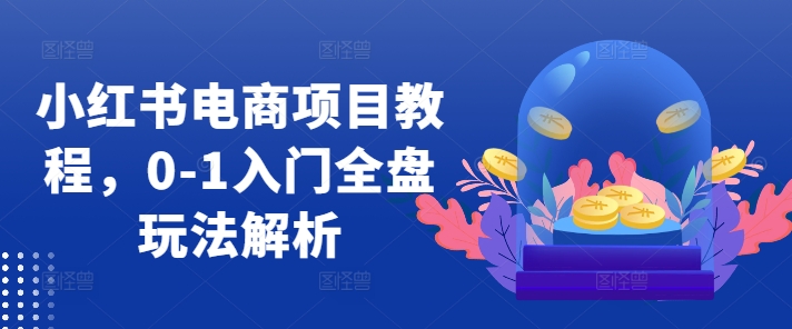 小红书电商项目教程，0-1入门全盘玩法解析-随风资源网