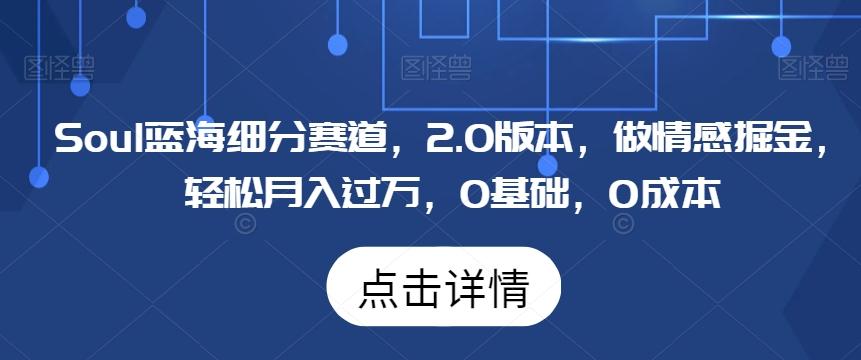 Soul蓝海细分赛道，2.0版本，做情感掘金，轻松月入过万，0基础，0成本-随风资源网