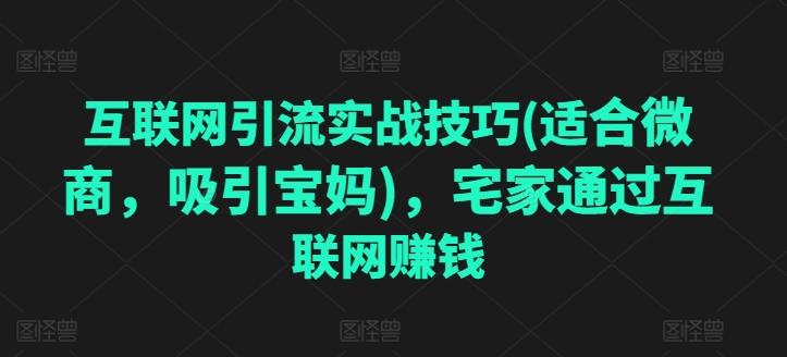 互联网引流实战技巧(适合微商，吸引宝妈)，宅家通过互联网赚钱-随风资源网