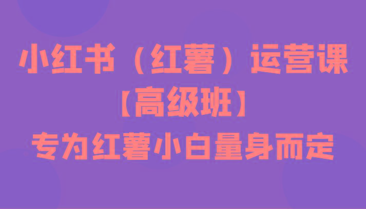 小红书(红薯)运营课【高级班】，专为红薯小白量身而定(42节课)-随风资源网