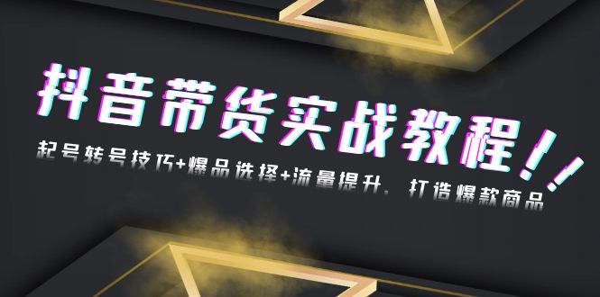 抖音带货实战教程：起号转号技巧+爆品选择+流量提升，打造爆款商品-随风资源网