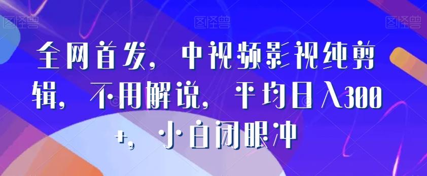 全网首发，中视频影视纯剪辑，不用解说，平均日入300+，小白闭眼冲-随风资源网