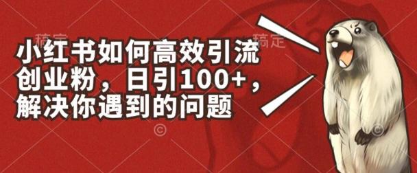 小红书如何高效引流创业粉，日引100+，解决你遇到的问题【揭秘】-随风资源网