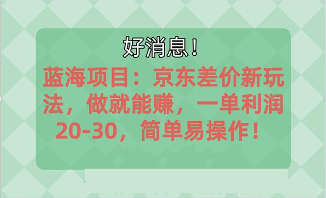 越早知道越能赚到钱的蓝海项目：京东大平台操作，一单利润20-30，简单…-随风资源网
