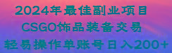 2024年最佳副业项目 CSGO饰品装备交易 轻易操作单账号日入200+-随风资源网