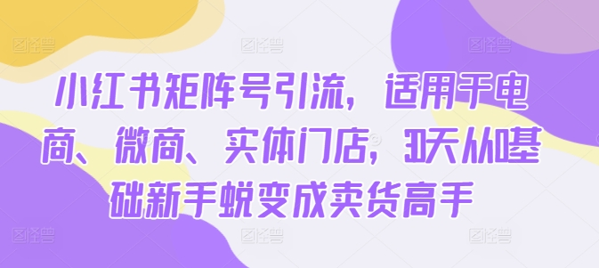 小红书矩阵号引流，适用于电商、微商、实体门店，30天从0基础新手蜕变成卖货高手-随风资源网