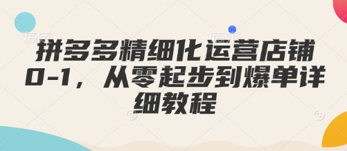 拼多多精细化运营店铺0-1，从零起步到爆单详细教程-随风资源网