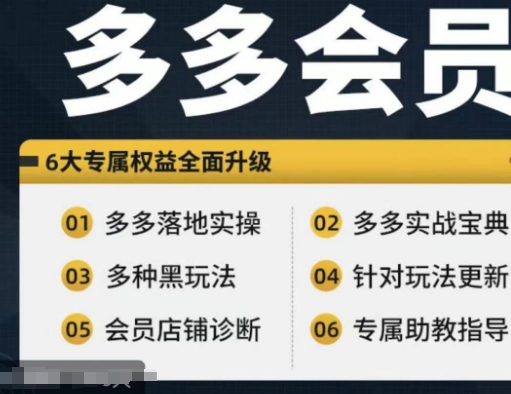 拼多多会员，拼多多实战宝典+实战落地实操，从新手到高阶内容全面覆盖-随风资源网