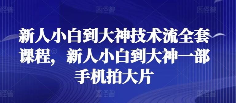 新人小白到大神技术流全套课程，新人小白到大神一部手机拍大片-随风资源网