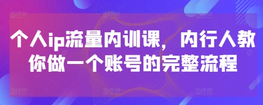 个人ip流量内训课，内行人教你做一个账号的完整流程-随风资源网