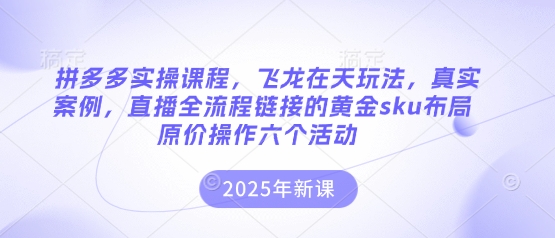 拼多多实操课程，飞龙在天玩法，真实案例，直播全流程链接的黄金sku布局原价操作六个活动-随风资源网