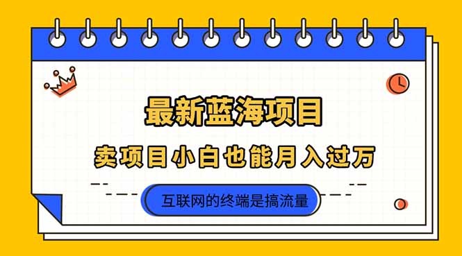 2025年最新蓝海项目，卖项目小白也能月入过万-随风资源网
