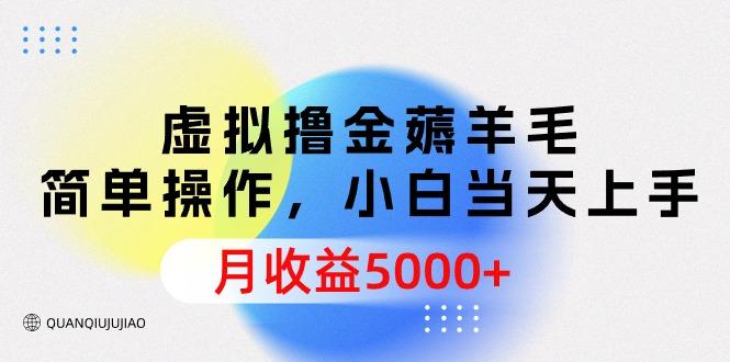 (9864期)虚拟撸金薅羊毛，简单操作，小白当天上手，月收益5000+-随风资源网