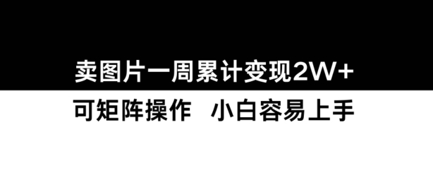 小红书【卖图片】一周累计变现2W+小白易上手-随风资源网