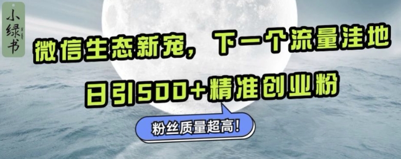 微信生态新宠小绿书：下一个流量洼地，日引500+精准创业粉，粉丝质量超高-随风资源网