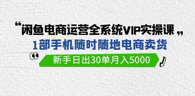 (9547期)闲鱼电商运营全系统VIP实战课，1部手机随时随地卖货，新手日出30单月入5000-随风资源网