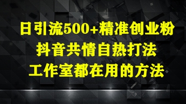 日引流500+精准创业粉，抖音共情自热打法，工作室都在用的方法-随风资源网