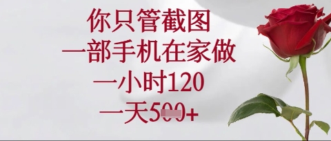 你只管截图，一部手机在家操作，一小时120.一天5张【揭秘】-随风资源网