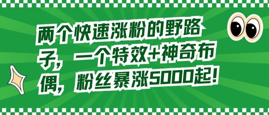 两个快速涨粉的野路子，一个特效+神奇布偶，粉丝暴涨5000起【揭秘】-随风资源网