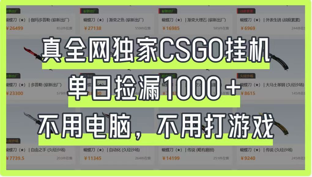 真全网独家CSGO挂机，单日捡漏1000+，不用电脑，不用养号-随风资源网