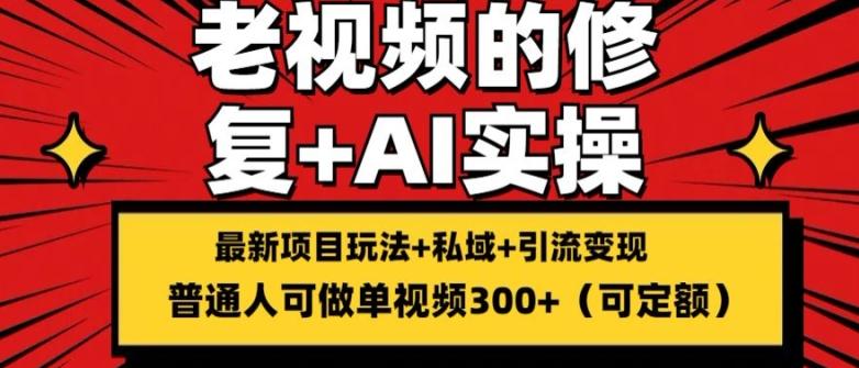 修复老视频的玩法，搬砖+引流的变现(可持久)，单条收益300+【揭秘】-随风资源网