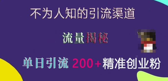 不为人知的引流渠道，流量揭秘，实测单日引流200+精准创业粉【揭秘】-随风资源网