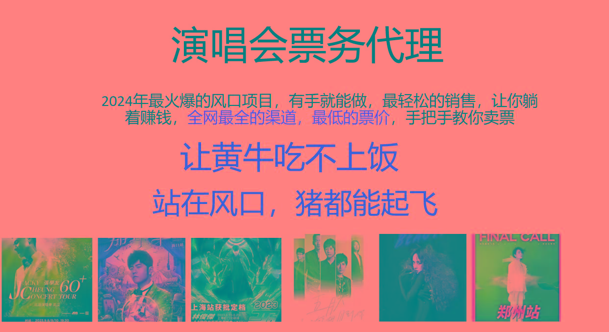 2024年最火爆风口项目，演唱会票务代理，日入2000+，一部手机就能搞定！-随风资源网