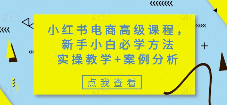 小红书电商高级课程，新手小白必学方法，实操教学+案例分析-随风资源网