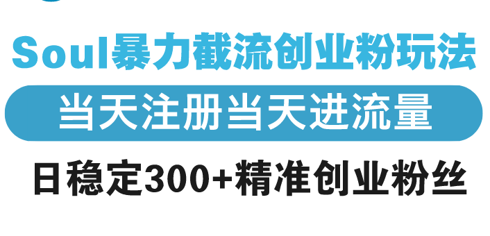 Soul暴力截流创业粉玩法，当天注册当天进流量，日稳定300+精准创业粉丝-随风资源网