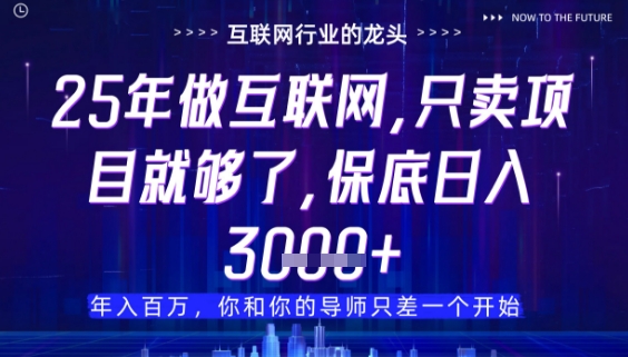什么！25年你还在找项目做？风口早就变了，卖项目才是稳挣不赔【揭秘】-随风资源网
