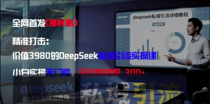 精准打击：价值3980的DeepSeek私域引流实操课，小白实操无门槛，日引精准粉300+-随风资源网