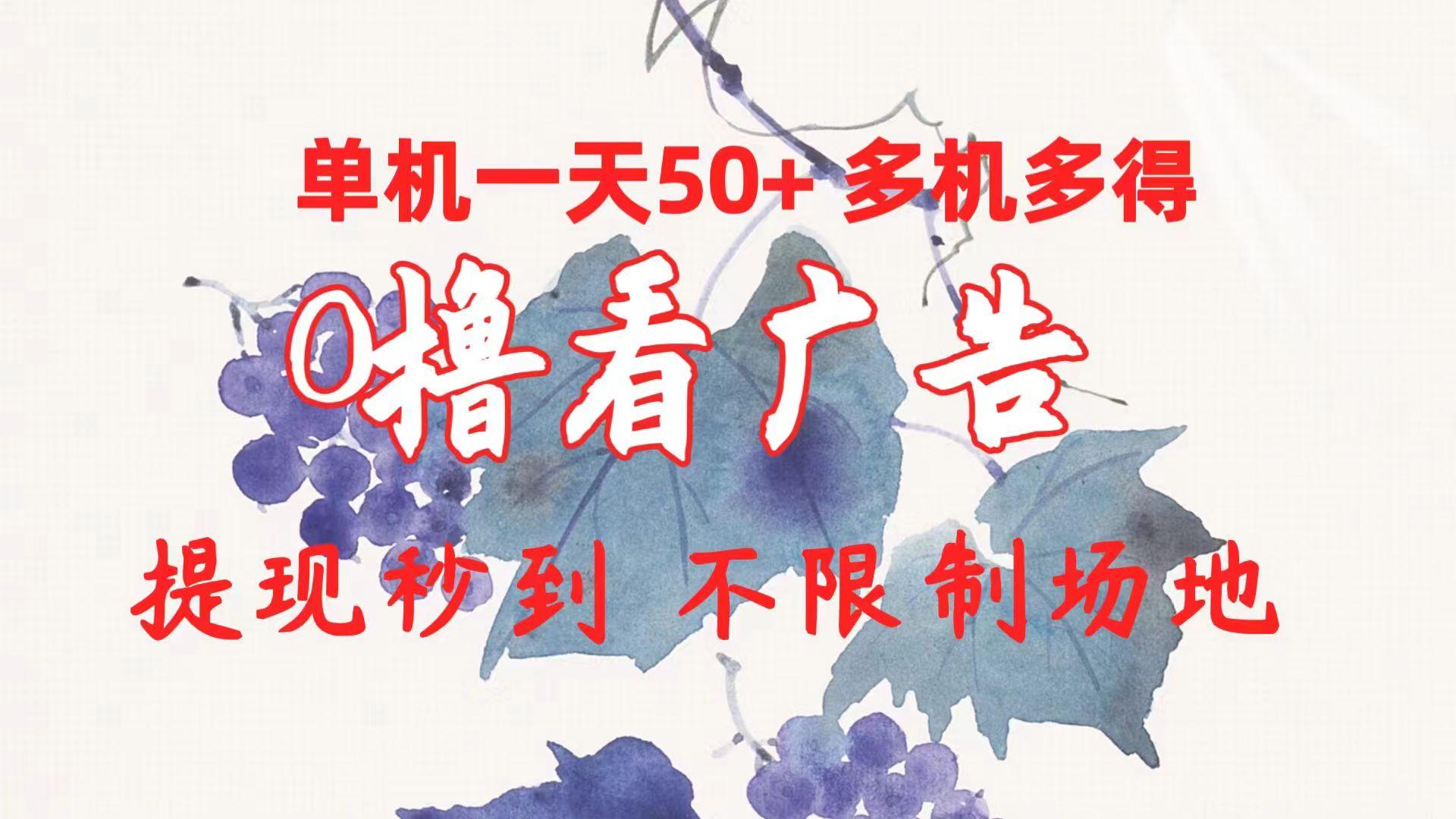 0撸看广告 单机一天50+多机多得 提现秒到 不限制场地操作-随风资源网