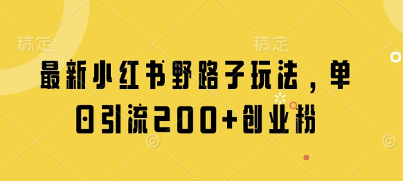 最新小红书野路子玩法，单日引流200+创业粉-随风资源网