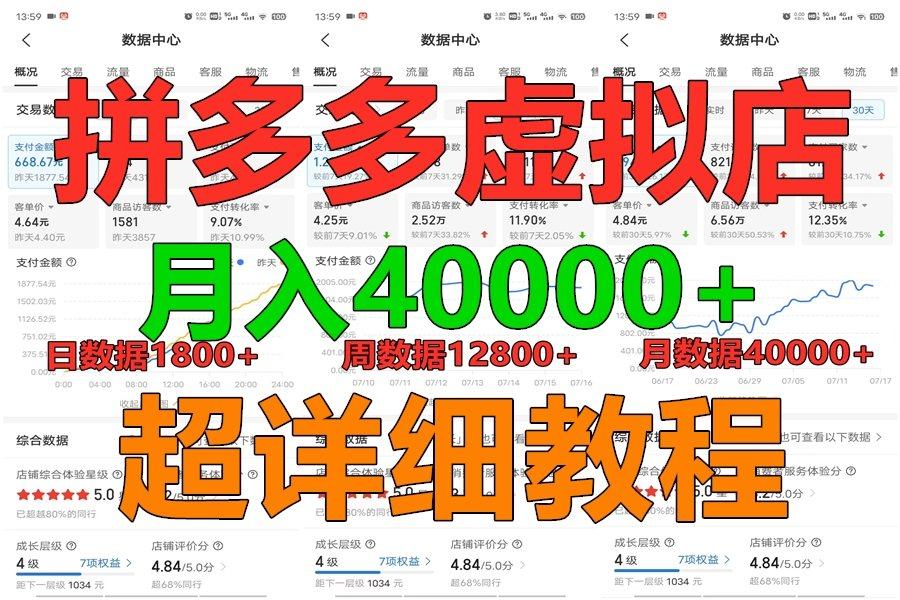 拼多多虚拟电商训练营月入40000+，全网最详细，你做你也行，暴利稳定长久-随风资源网