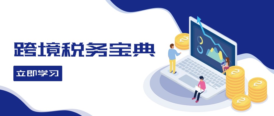 跨境税务宝典教程：跨境电商全球税务处理策略-随风资源网