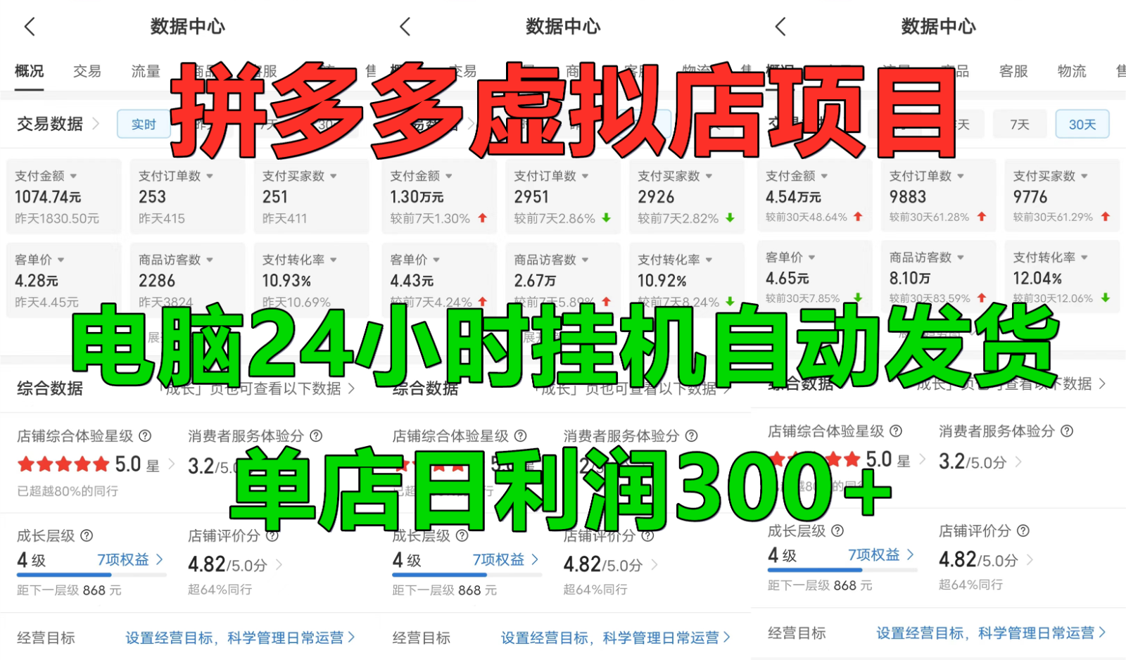 拼多多虚拟店铺项目，电脑挂机自动发货，单店日利润300+-随风资源网