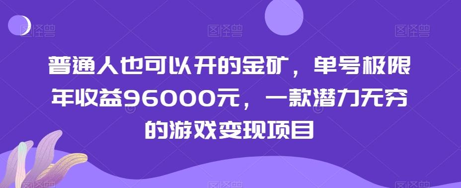 普通人也可以开的金矿，单号极限年收益96000元，一款潜力无穷的游戏变现项目【揭秘】-随风资源网