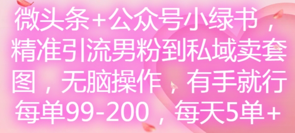 微头条+公众号小绿书，精准引流男粉到私域卖套图，无脑操作，有手就行，每单99-200，每天5单-随风资源网