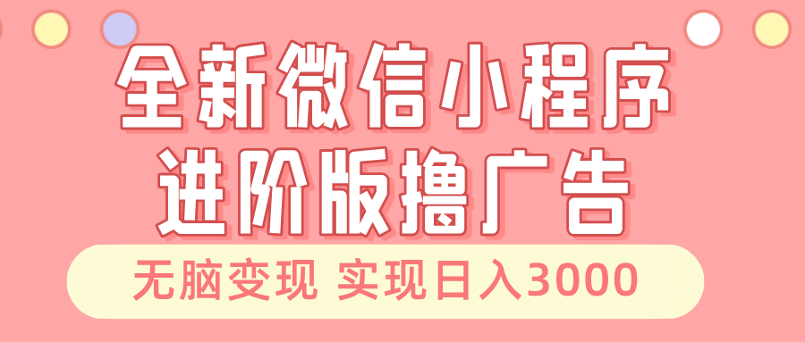 全新微信小程序进阶版撸广告 无脑变现睡后也有收入 日入3000＋-随风资源网