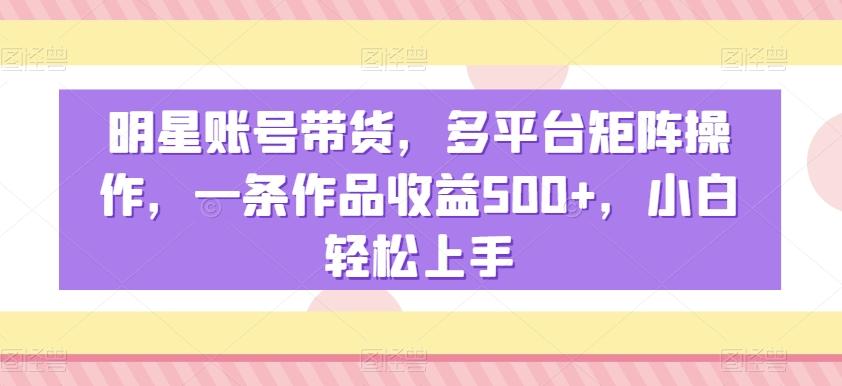 明星账号带货，多平台矩阵操作，一条作品收益500+，小白轻松上手【揭秘】-随风资源网