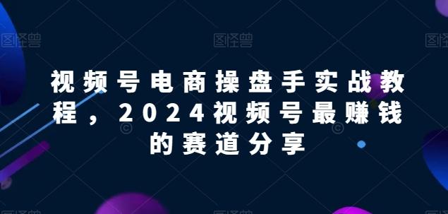 视频号电商实战教程，2024视频号最赚钱的赛道分享-随风资源网