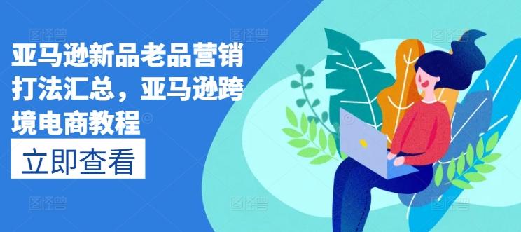 亚马逊新品老品营销打法汇总，亚马逊跨境电商教程-随风资源网