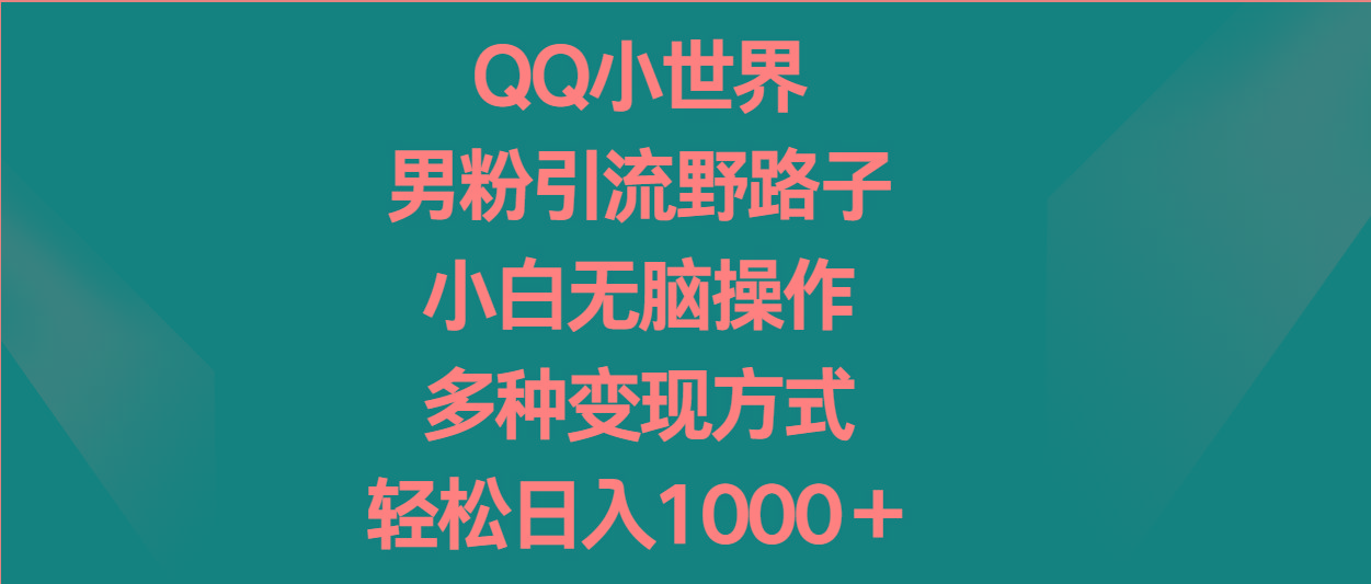 QQ小世界男粉引流野路子，小白无脑操作，多种变现方式轻松日入1000＋-随风资源网