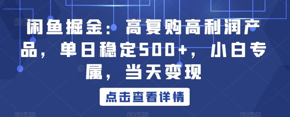 闲鱼掘金：高复购高利润产品，单日稳定500+，小白专属，当天变现-随风资源网