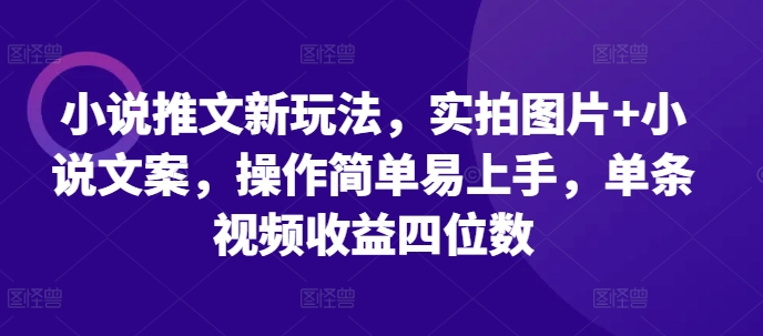 小说推文新玩法，实拍图片+小说文案，操作简单易上手，单条视频收益四位数-随风资源网