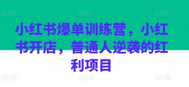 小红书爆单训练营，小红书开店，普通人逆袭的红利项目-随风资源网