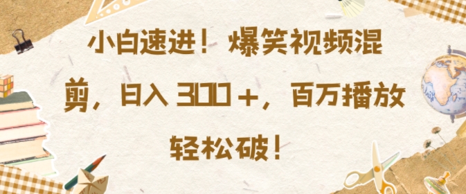 小白速进，爆笑视频混剪，日入3张，百万播放轻松破【揭秘】-随风资源网