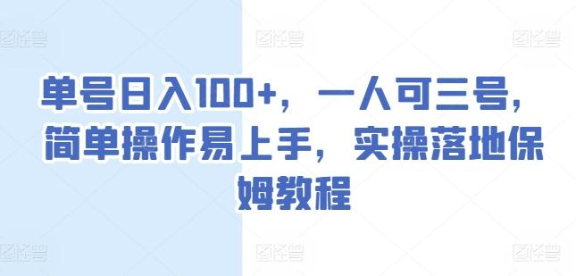 单号日入100+，一人可三号，简单操作易上手，实操落地保姆教程【揭秘】-随风资源网
